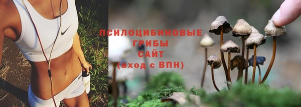 сатива Киренск