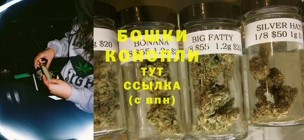 сатива Киренск