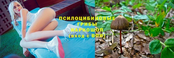 сатива Киренск