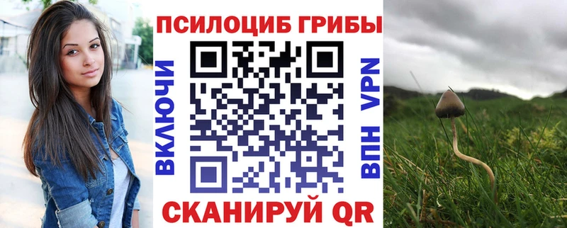 Галлюциногенные грибы GOLDEN TEACHER  Купить закладки  Билибино 